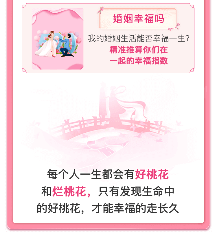 桃花运报告介绍